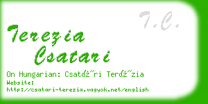 terezia csatari business card